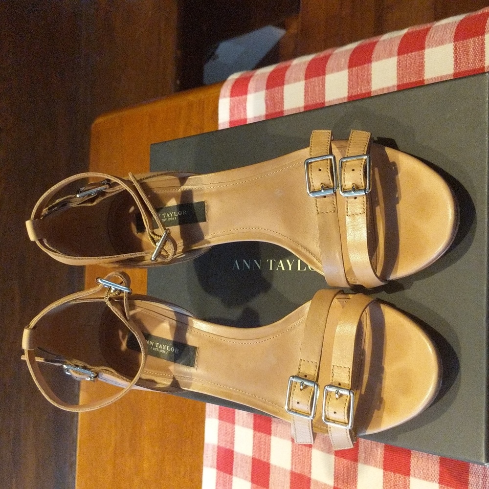 Ann Taylor Buckle Kitten Heels